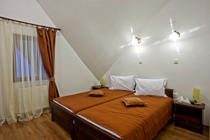 Pensiunea Rustic Ana